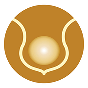 Soul-Body-Fusion® Bild